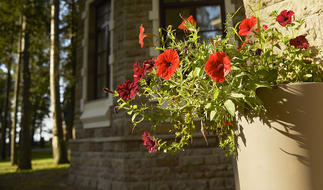 Резиденция 2